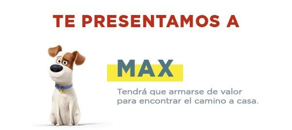 MaxMascotas - MagaZinema